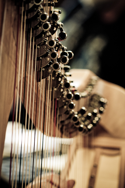 Harp Festival (49 of 54).jpg